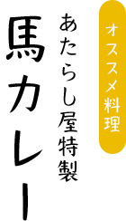 あたらし屋特製 馬カレー