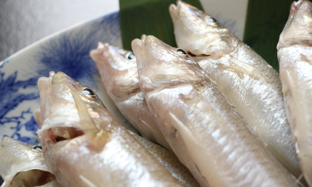 栄養豊富な八代海で獲れた、季節の海の幸